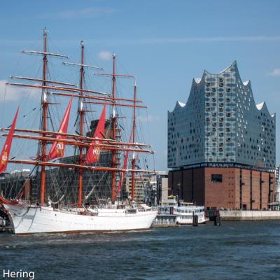 Hamburg Elbphilharmonie Und Hafen 2019