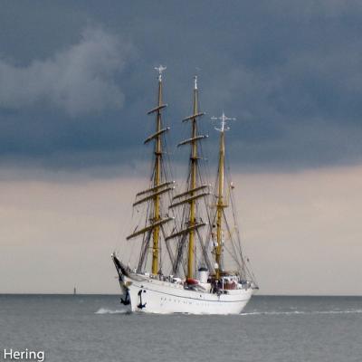 Segelschulschiff Gorch Fock Auf Dem Weg Zur Werft 2012
