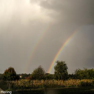 Domane Dahlem Doppel Regenbogen Berlin 2008
