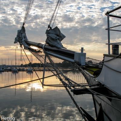 Rostocker Hafen Segelschiff 2007