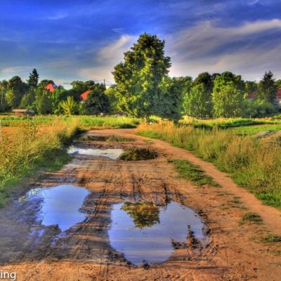 Domane Dahlem Wasserpfutzen Auf Feldweg