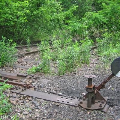 Natur Park Sudgelande Reste Vom Grossten Rangierbahnhof Europas