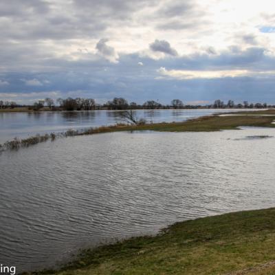 Tangermuende Elbe Mit Winterhochwasser