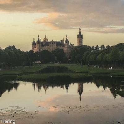 Das Schweriner Schloss Vom Schlossgarten Aus Gesehen