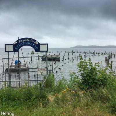Zippendorf Ehemalige Seeterrasse