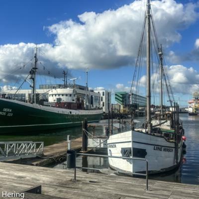 Fischereihafen Bremerhaven
