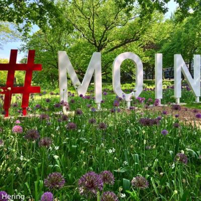 Moin Moin Moin Ist Gesabbelt